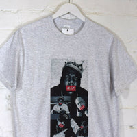 RIP Rappers Printed Tee In Grey