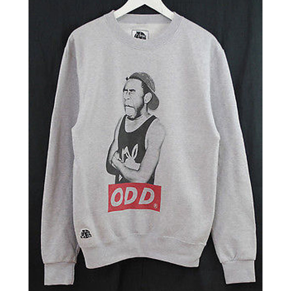 Tyler The Creator ODD Printed Sweatshirt In Grey