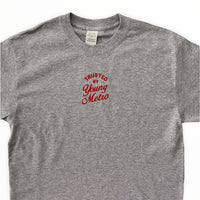 Young Metro Embroidered Tee In Grey