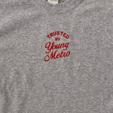Young Metro Embroidered Tee In Grey